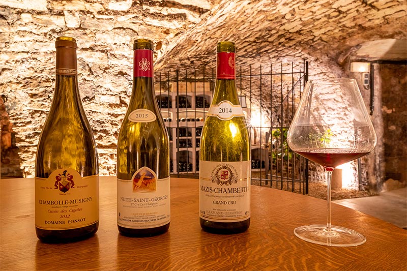 tasting in wine cellar for groups in Beaune 4